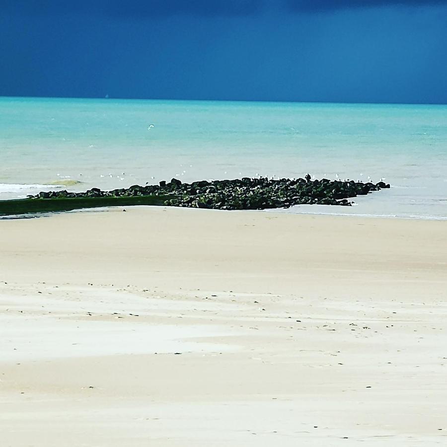 Fleuri Westende Lägenhet Middelkerke Exteriör bild
